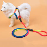 Colorful Nylon Dog Leash