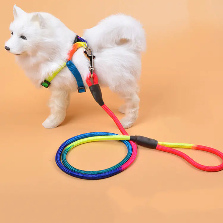 Colorful Nylon Dog Leash