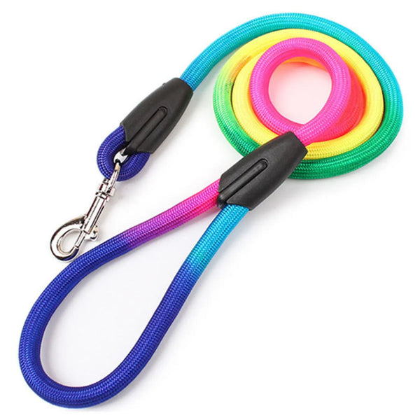 Colorful Nylon Dog Leash