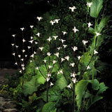 Willow Glow Lamp