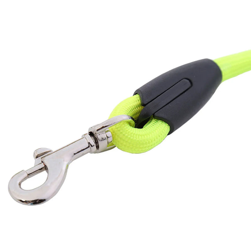 Colorful Nylon Dog Leash