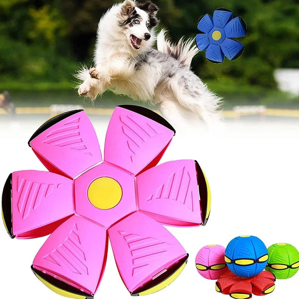 Magic Deformation Dog Disc