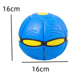 Magic Deformation Dog Disc