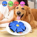 Magic Deformation Dog Disc